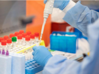 Түркістан облысында жағдай тұрақты