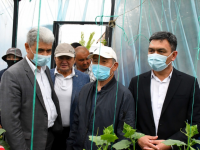 Кәсіпкерлерге кепілсіз несие беріледі