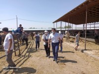 Күнделікті мониторинг жұмыстары жүргізілуде