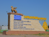 Түркістан полицейлері шекарадан заңсыз есірткі тасымалдамақ болған  Нұр-Сұлтан  тұрғынын ұстады