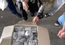 Түркістан облысының полицейлері  торттың қорабына есірткі жасырған күдіктіні ұстады