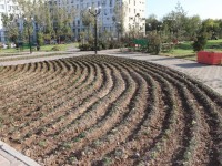 Турист талап ететін критерий - тазалық пен әсемдік