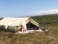 Полицейлер Түркістанда заңсыз жұмыс істеп жүрген 130-дан астам шетелдікті анықтады