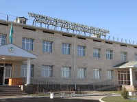 «Джайма» атты иттің көмегімен шекарадан «гашиш» есірткісін алып өтпек болған өзбекстандық ұсталды