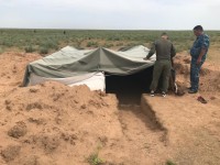 Полицейлер кеурек дәрілік шөбін қазып, заңсыз жұмыс істеп жүрген  23-шетелдікті анықтады