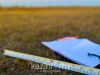 Көршісінің құжаттарын рәсімдеп беремін деп алаяқтық ойын іске асырған  ер адам ұсталды