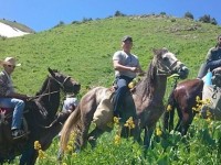 Туристердің сұранысын қанағаттандыру басты назарда