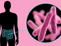 Дизентерияның алдын алу шаралары