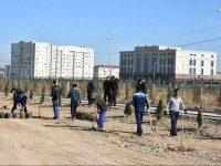 Түркістандағы секторларда жұмыс үлкен қарқын алды