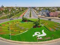 Түркістанда автокөлік саны артты