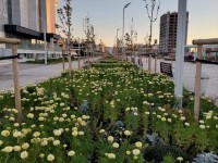 Түркістан 6 сектор аумағы бойынша өзгеше дамуға қызмет етуде