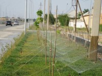 Түркістан қаласы секторлар арқылы қарқынды дамуда