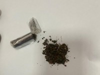 Қызметтік ит гашиш тасымалдаған әйелді ұстады
