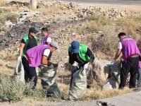 Түркістан облысында республика күніне орай «қоқыссыз табиғат» экоакциясы өтті