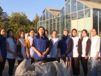 Түркістанда плоггинг әдісімен қоқыс жиналды