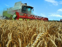 Ауыл шаруашылығы өнімдерін өңдеп нарыққа шығаруға жол ашылуда