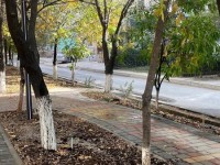 «Халық қатысатын бюджет»: Жоба аясында гүлзар салынуда