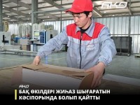 Шымкентте жиһаз шығаратын бірегей кесіпорын жұмыс істейді