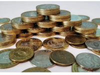 Жамбыл облысында 200 адам қаржы пирамидасына алданған