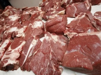 Жылқы еті әлеуметтік маңызы бар тауарлар тізбесіне кіруі мүмкін