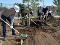 Қарин: «Таза Қазақстан» экоакциясының идеологиясы — тазалық пен тәртіпті сақтау