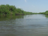 Министр: Ресей Жайықтан алатын үлесіміздің 50 пайызын ғана беріп келді