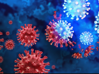 ДСМ ескертеді: Омикрон вирусының  штамдары айналымда жүр