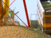 Астық пен ұн экспорты 12,4 млн тоннаға жетті