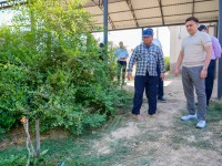 Текесу тұрғын алабында сумен жабдықтау жүйесі іске қосылды