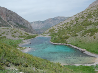 Оңтүстік жері жанға — сая, тәнге — дауа!